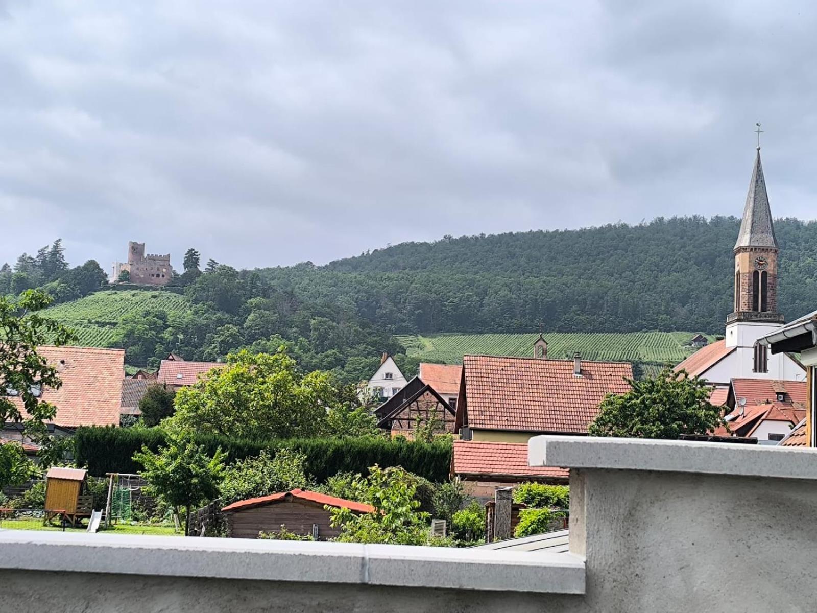 Gite Bonheur Et Charme Spa-Sauna Forfait 2H Inclus Kintzheim Exterior photo